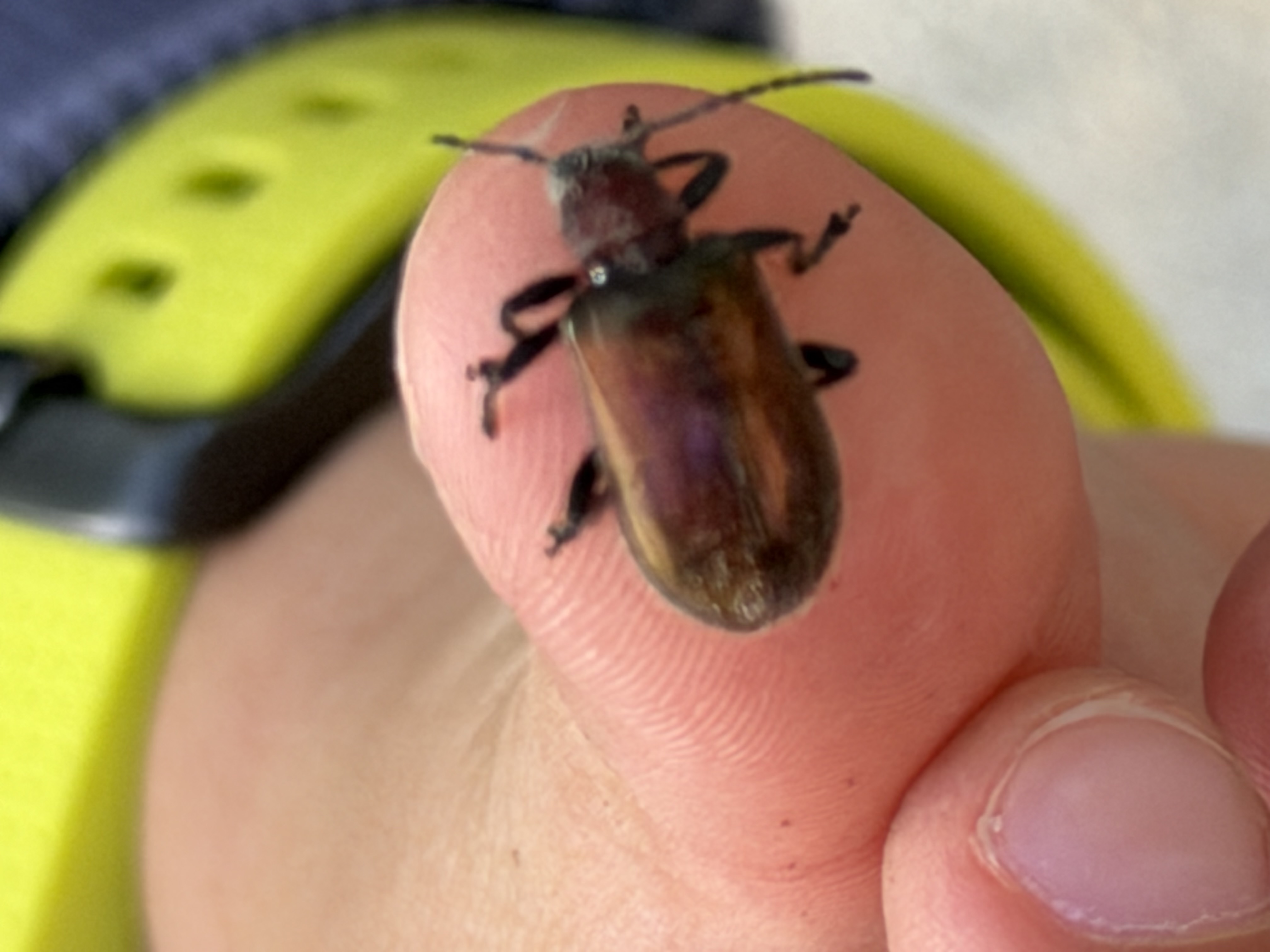 Before: Toy example 5